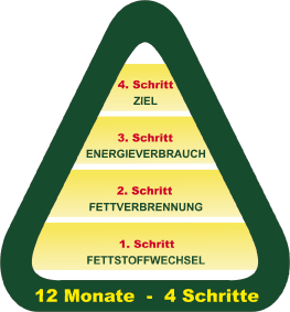 Rücken Intensivtraining